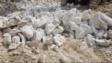 IMG 20230612 153903 590 edit 19181898499912