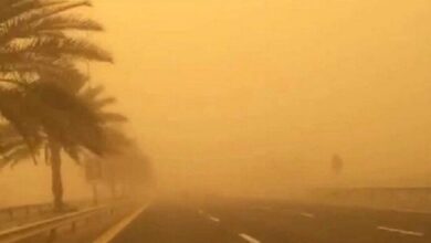 Screenshot 2023 06 02 08 35 01 80 40deb401b9ffe8e1df2f1cc5ba480b12