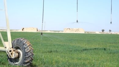 Screenshot 2023 06 09 11 42 19 43 948cd9899890cbd5c2798760b2b95377