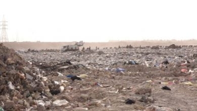 Screenshot 2023 06 15 14 50 45 78 948cd9899890cbd5c2798760b2b95377