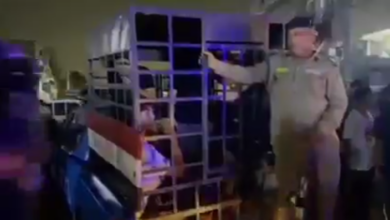 Screenshot ٢٠٢٣٠٦٠٤ ٢٢٠٩١٥