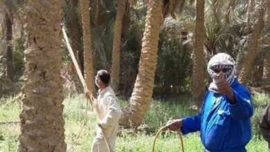 Screenshot ٢٠٢٣٠٦١٩ ٢٠٥٢١٤