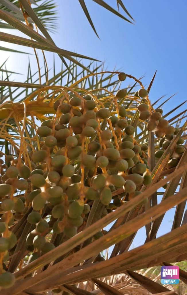 Screenshot ٢٠٢٣٠٦١٩ ٢٠٥٥٣٦