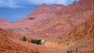 upload 1685795808 1479394396 edit 261828406323451