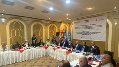 upload 1686395658 1698469840 edit 582795832628275