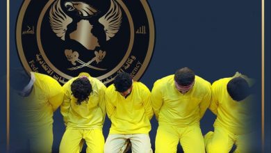 upload 1686564814 1953917505 edit 10902094646111