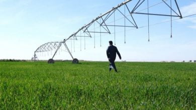 upload 1686573791 476783182 edit 19567862944243