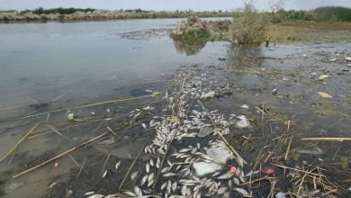 upload 1686655836 1713609093 edit 67469273775867