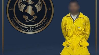 upload 1687082341 1102890377 edit 82342401198368