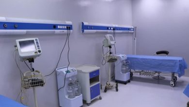 upload 1687258048 2069262419 edit 176601338332140