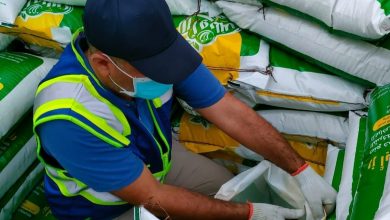 upload 1687860112 2145741674 edit 439999461808225