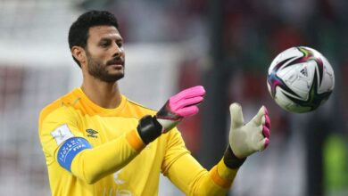 محمد الشناوى