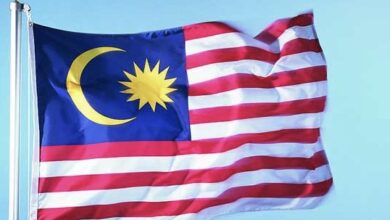 C656B375 0806 4A72 B147 33E5766D63F3