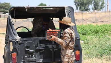 FB IMG 1688814913515