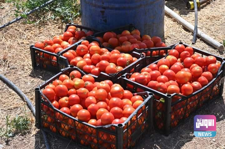 FB IMG 1688814915618