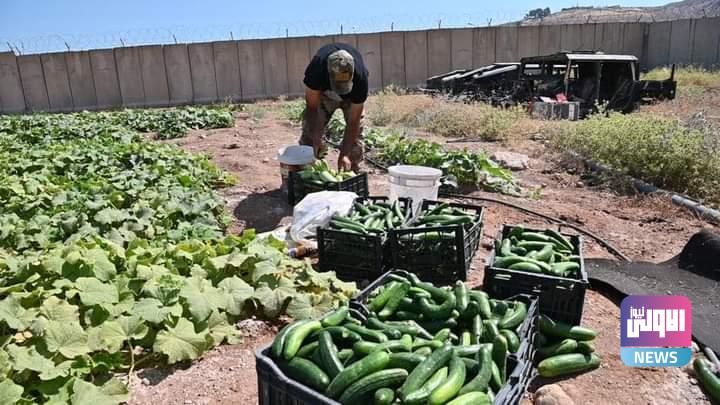 FB IMG 1688814920158