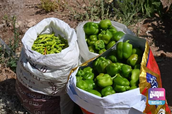 FB IMG 1688814922514