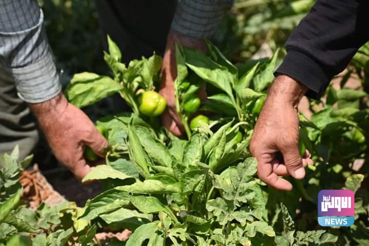 FB IMG 1688814924607