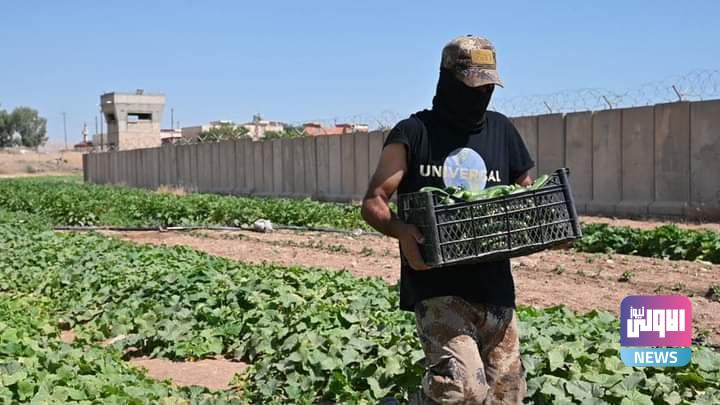 FB IMG 1688814930520