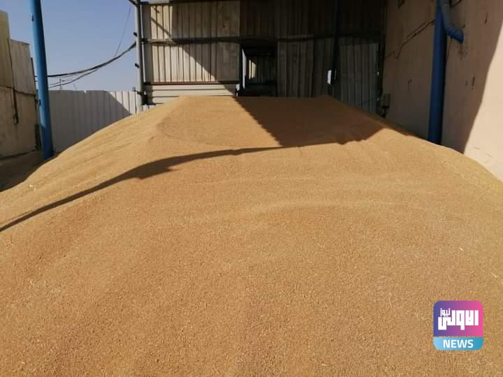 وزير التجارة: خزين العراق من الحنطة وصل إلى 5 ملايين طن 1 FB IMG 1688840818408