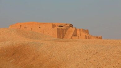 IMG 20230715 123745 242