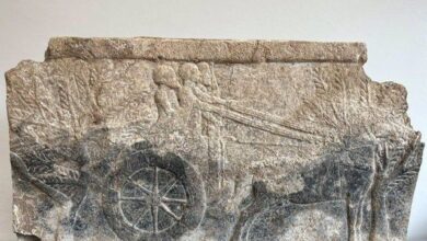 IMG 20230718 125342 326