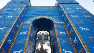 IMG 20230719 123627 538