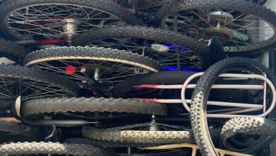 IMG 20230724 134459 772