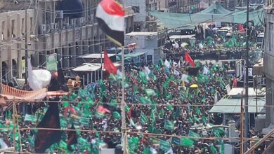 IMG 20230729 124209 997