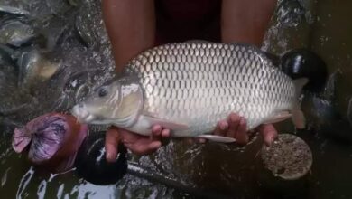 Screenshot 2023 07 08 20 40 17 97 a23b203fd3aafc6dcb84e438dda678b6