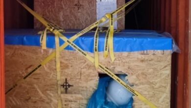 Screenshot 2023 07 11 15 31 14 90 40deb401b9ffe8e1df2f1cc5ba480b12