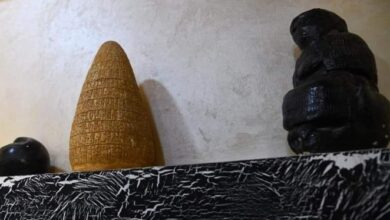 Screenshot 2023 07 13 12 05 49 43 40deb401b9ffe8e1df2f1cc5ba480b12