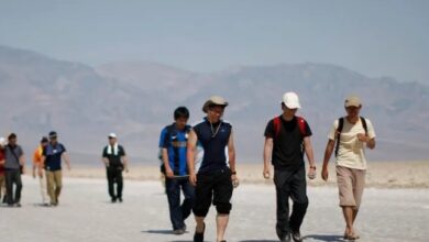 Screenshot 2023 07 15 08 41 24 41 40deb401b9ffe8e1df2f1cc5ba480b12