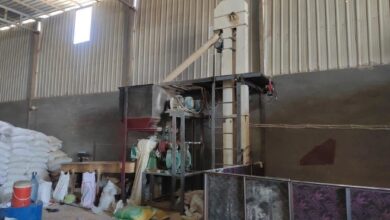 Screenshot 2023 07 16 22 30 32 08 40deb401b9ffe8e1df2f1cc5ba480b12