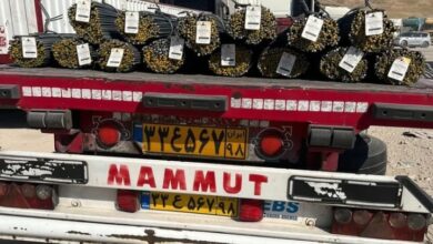 Screenshot 2023 07 20 10 09 06 83 40deb401b9ffe8e1df2f1cc5ba480b12