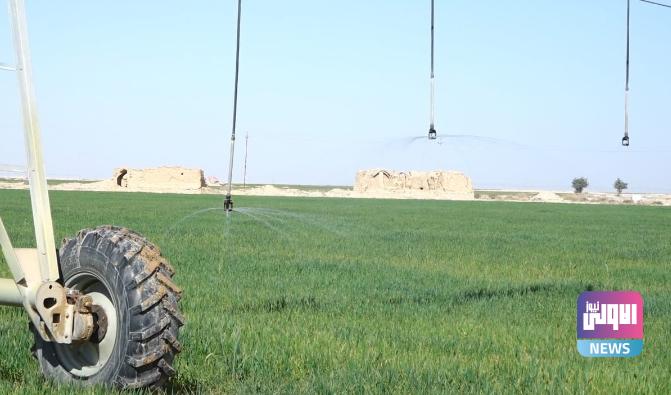 الزراعة تكشف عن موعد إقرار الخطة الزراعية الشتوية 1 Screenshot 2023 07 25 11 49 14 31 40deb401b9ffe8e1df2f1cc5ba480b12