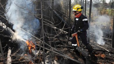 Screenshot 2023 07 30 08 50 00 36 40deb401b9ffe8e1df2f1cc5ba480b12