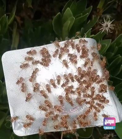 upload 1688560216 1143327896 edit 15315950415681