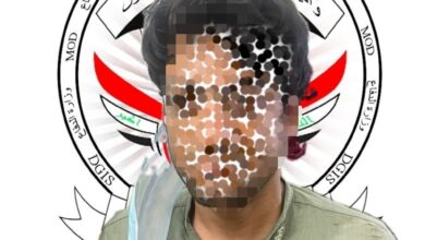 upload 1688754749 233695870