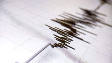 upload 1689739594 1444972994