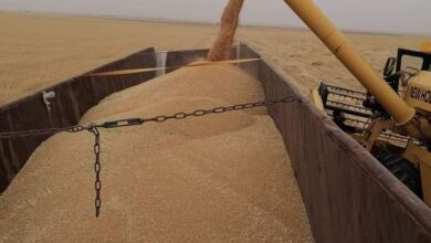 FB IMG 1691605200849