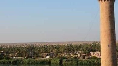 IMG 20230803 121033 477