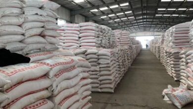 IMG 20230804 123038 886