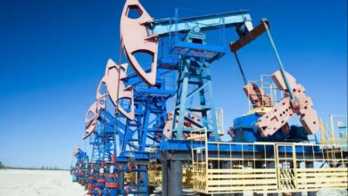 IMG 20230817 103610 051