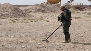 IMG 20230826 154655 283