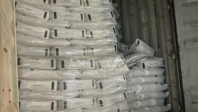 IMG 20230827 144222 331