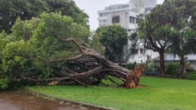 Screenshot 2023 08 02 08 42 00 05 40deb401b9ffe8e1df2f1cc5ba480b12