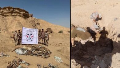 Screenshot 2023 08 03 18 02 57 79 40deb401b9ffe8e1df2f1cc5ba480b12