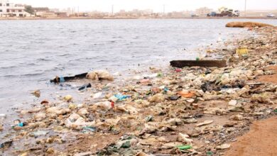 Screenshot 2023 08 04 12 00 25 24 40deb401b9ffe8e1df2f1cc5ba480b12