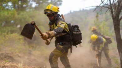 Screenshot 2023 08 05 08 41 36 17 40deb401b9ffe8e1df2f1cc5ba480b12